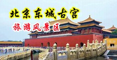 抠屄中国北京-东城古宫旅游风景区
